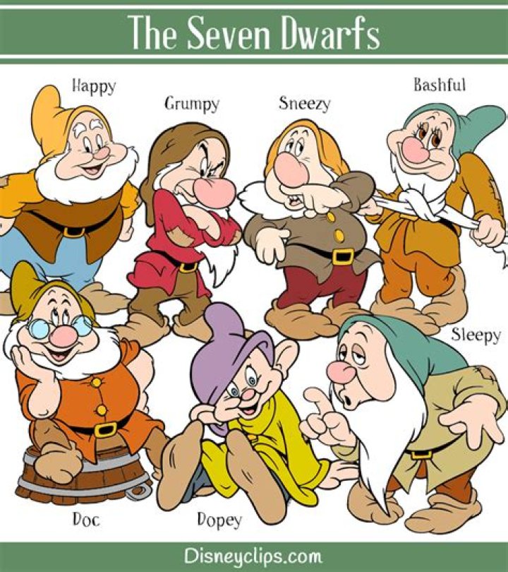 7 Dwarfs Characteristics