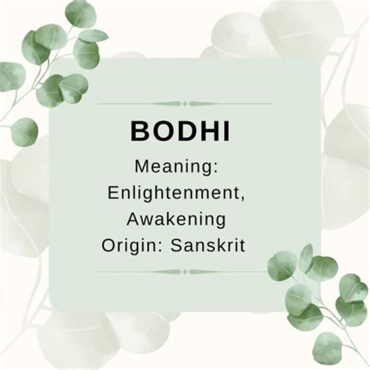 The Ultimate Guide To Choosing The Perfect Bodhi Name