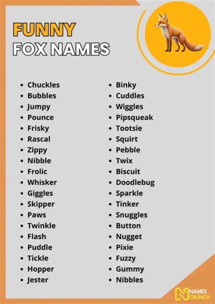 Cool Names For A Fox