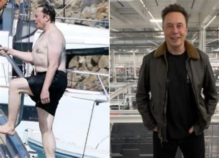 Unveiling Elon Musk's Physique: Height And Weight Decoded