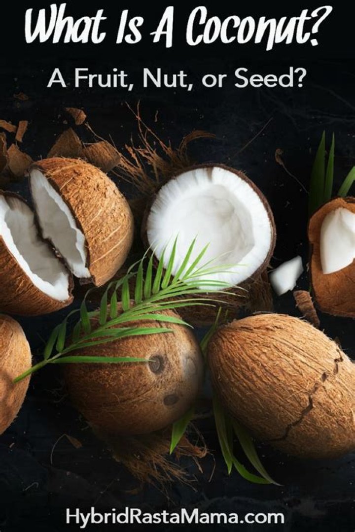 Is A Coconut A Fruit Or Nut