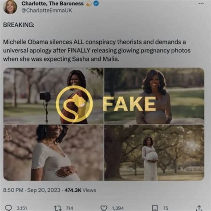 Michelle Obama's Pregnancy Journey: A Visual Timeline