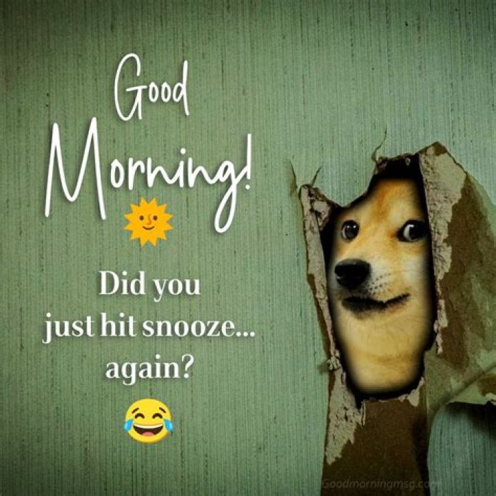 Hilarious Good Morning Memes To Start Your Day