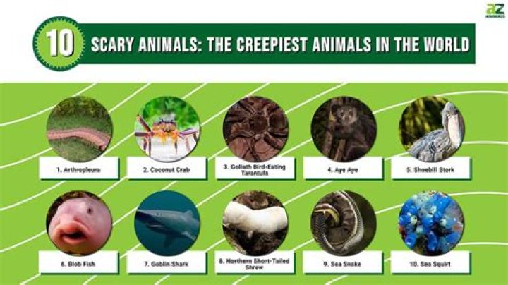 Most Scariest Animals On Earth