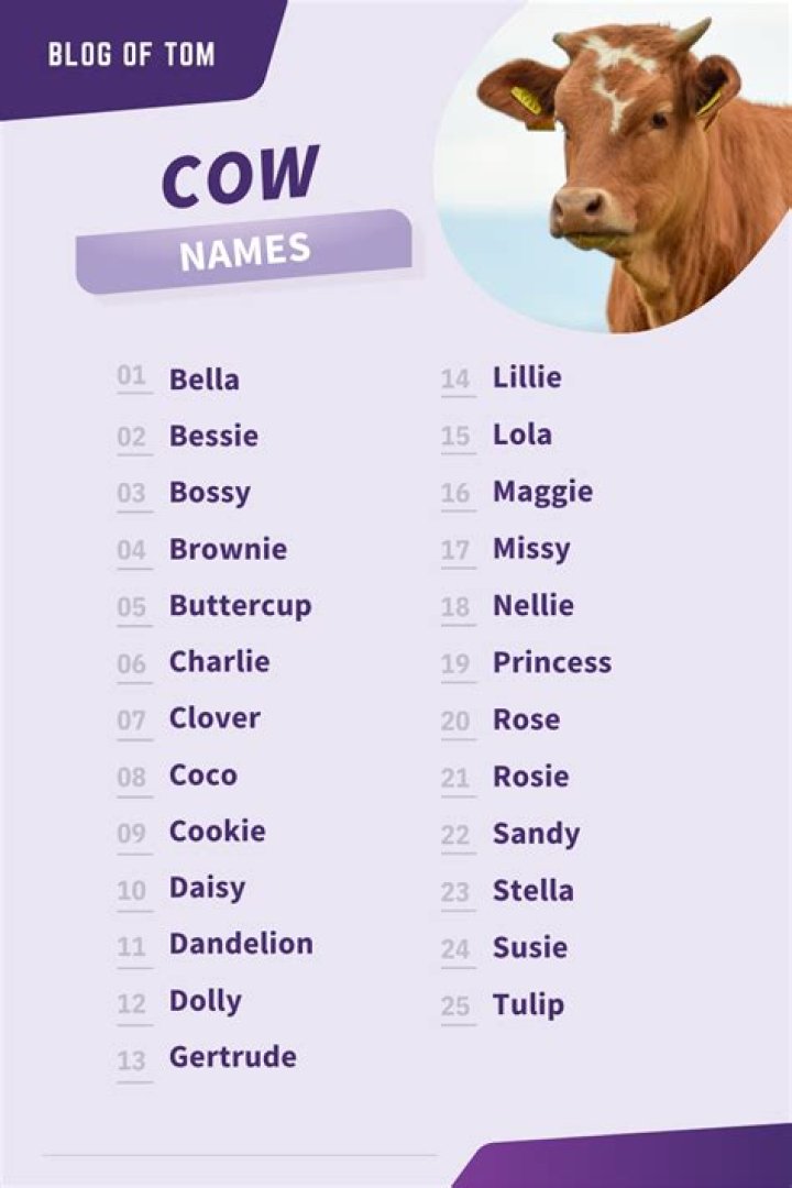 Comprehensive Guide To Creative And Unique Names For Cows