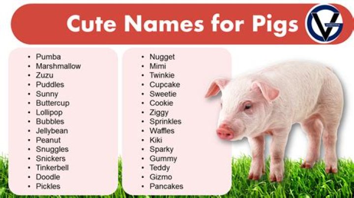 Pig Names Female