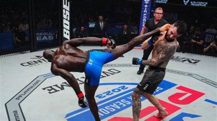 Sadibou Sy's MMA Mastery Revealed