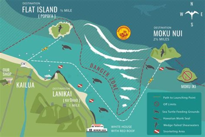 The Ultimate Guide To Moku Armstrong: Unlocking Its Potential